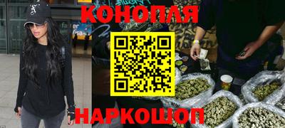 круглые Кингисепп